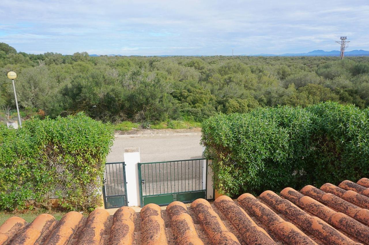 Sa Rapita / Es Trenc Campos (Mallorca)